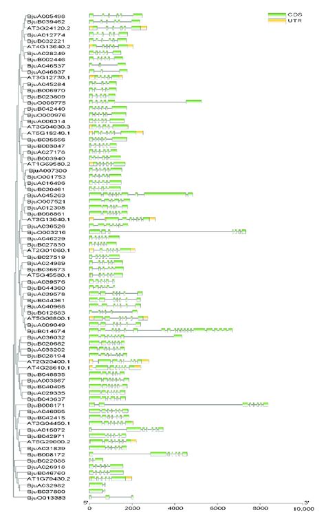 Unlocking the Secrets of CC.Genes: Pioneering Genetic Discovery