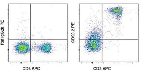 cd 90.2 thy-1.2 monoclonal antibody 30-h12