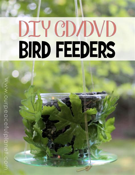 CD Bird Feeders