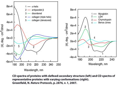 Cd Spectroscopy For Proteins