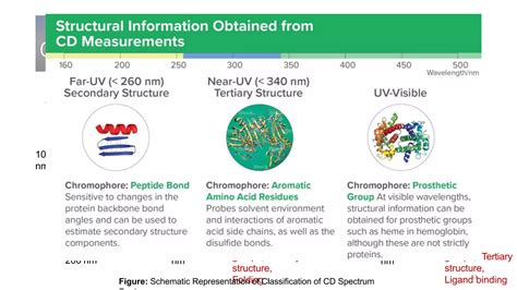 Cd Spectroscopy Ppt