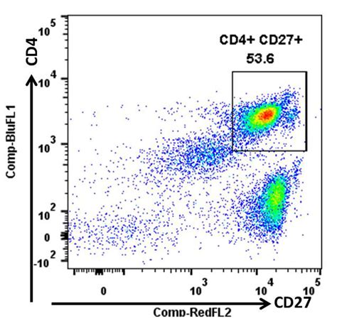 cd27 marker t cells