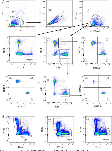 cd45.1 cd45.2 marker