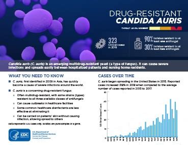 cdc and candida auris