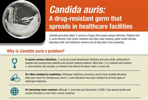 cdc candida auris colonization vs infection