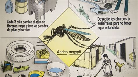 cdc dengue puerto rico