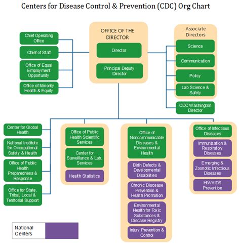 cdc dvp org chart