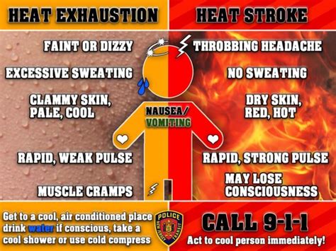 cdc guidelines for heat