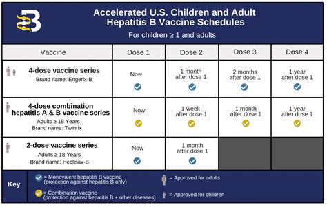 cdc hepatitis b vaccine