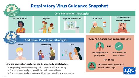 Cdc Isolation Guidelines Rsv