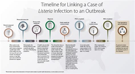 cdc listeria outbreak 2024