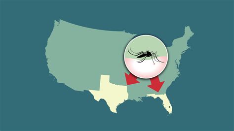 cdc malaria in usa