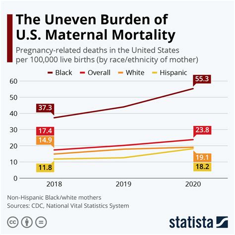cdc maternal mortality 2022