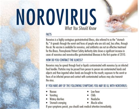 cdc norovirus guidelines for nursing homes