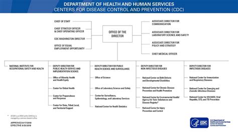 cdc ogs org chart