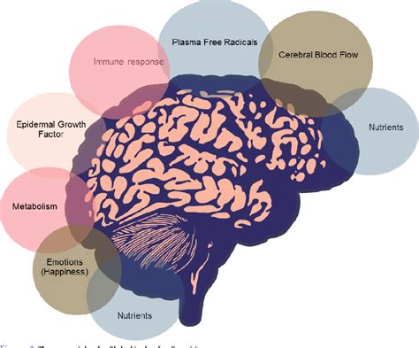 cdh15 and cognitive function