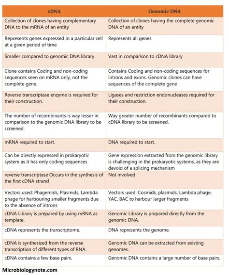 Cdna And Dna Difference