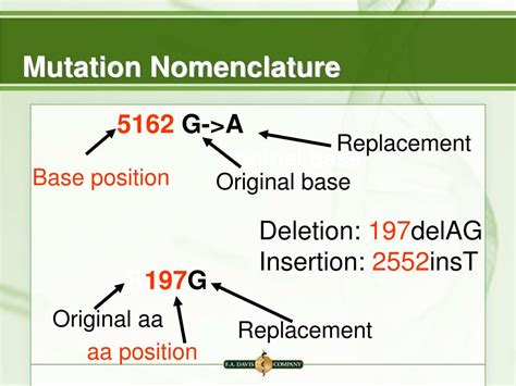 Cdna Mutation Nomenclature