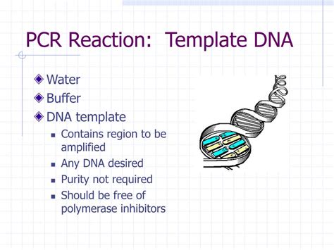 Cdna Pcr Template Concentration