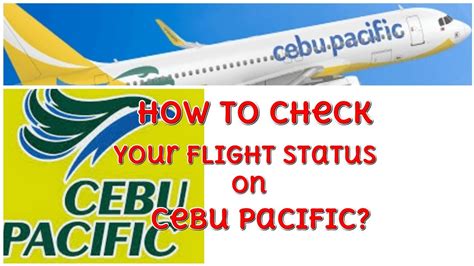 cebu pacific flight checker