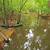 cedar creek canoe trail