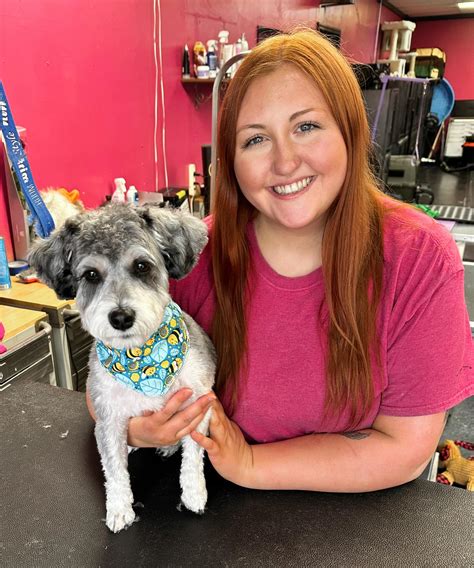 cedar rapids grooming