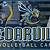cedarville university volleyball camp