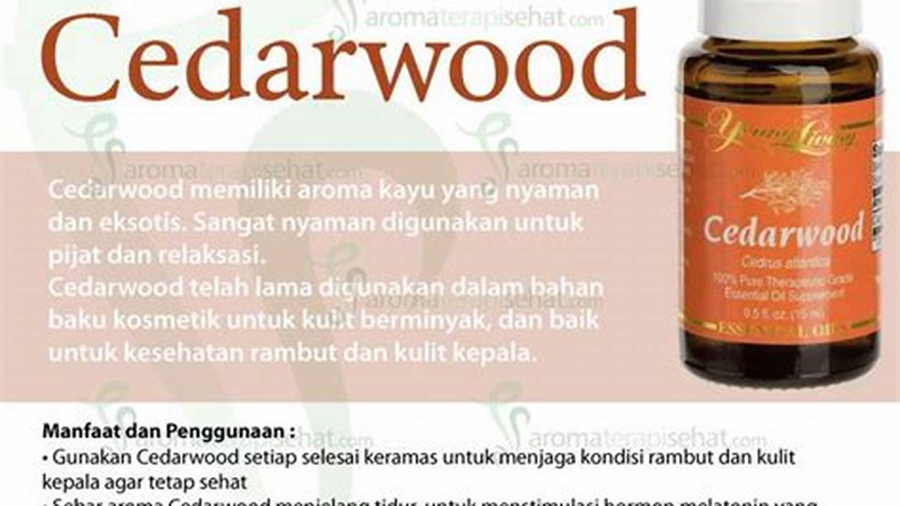 Manfaat Cedarwood Young Living yang Jarang Diketahui, Anda Perlu Tahu!