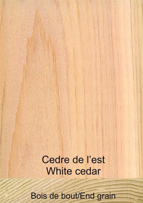 Cedre De L Est