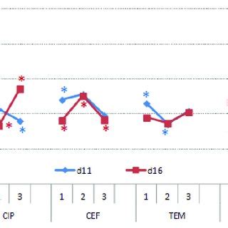 CEF TEM: Unlocking Growth Opportunities for Entrepreneurs