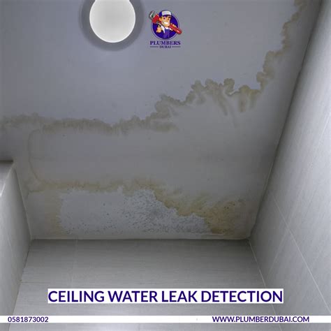 ceiling detection leak