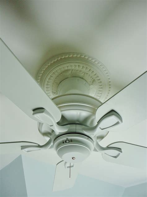 Ceiling Fan In Plaster Ceiling