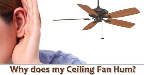 Ceiling Fan Motor Buzzing