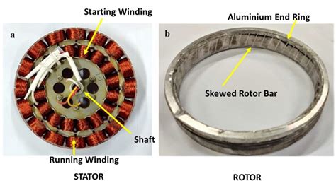 Ceiling Fan Motor Damage