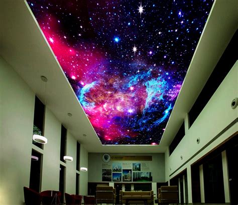 Ceiling Murals Sky