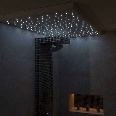Ceiling Shower Light