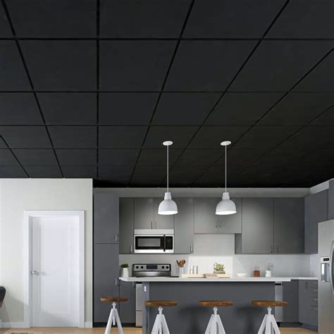 Ceiling Tile In Black