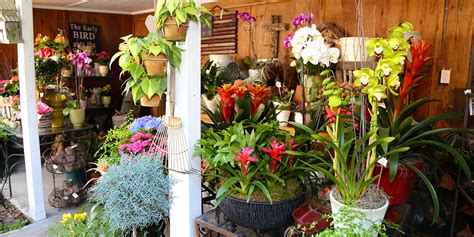 celebrations flower shop pensacola fl