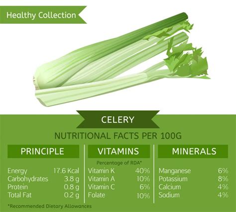 Celery The Not So Negative Calorie Food FOOD MYTHS BUSTED
