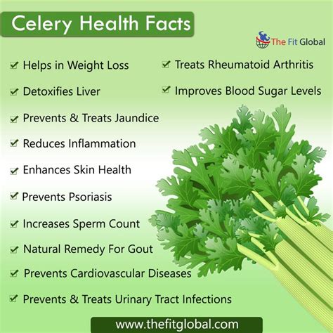 Celery Benefits Nutrients