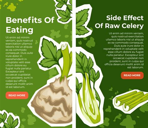 Celery Benefits Side Effects