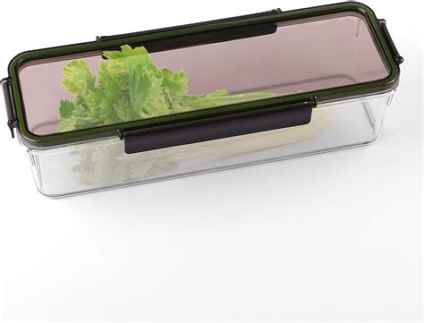 Celery Container For Fridge