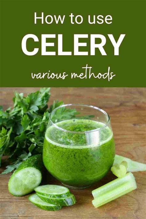 Celery Definition And Uses