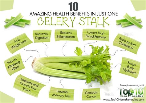 Celery Fiber Per Stalk