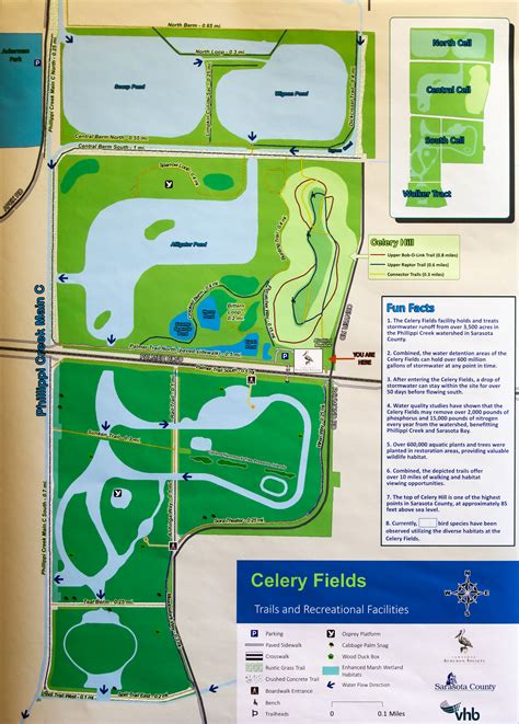Celery Fields Map