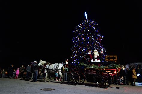 Celery Flats Tree Lighting