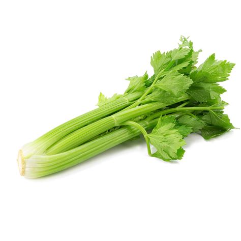 Celery French Word