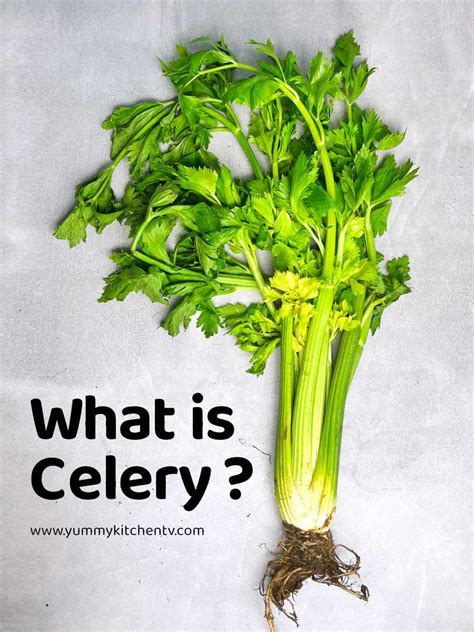 Celery Good For Candida