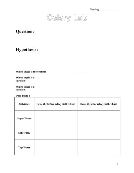 Celery Lab Worksheet
