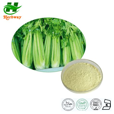 Celery Powder Extract Hs Code